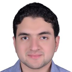 أحمد شلتوت, Sales Engineer