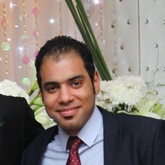 Hatem Shaaban Mansour, Finance Manager