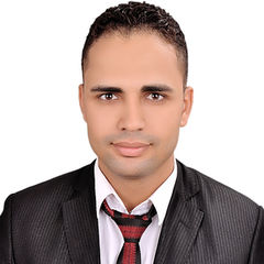Mohammed Fouad Wahba, Chief Accountant