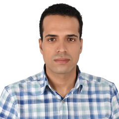 Elsayed  Hegazy