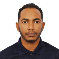 عثمان الماحي, Sales Manager