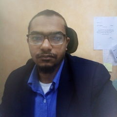 Ahmed Shaker, accountant