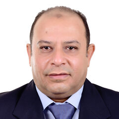 mahmoud Elhaddad