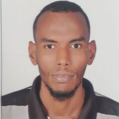 MAHMOUD  OBIED ALI AHMED