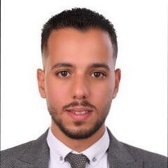 عمرو رضا, Accountant