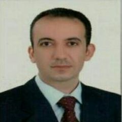  Hany Abdeldayem Elsayed  Mohamed, Sales Manager
