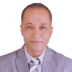 شريف حسن إمام  منصور, محاسب قانوني