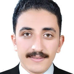 كمال رضا حسان حمزة