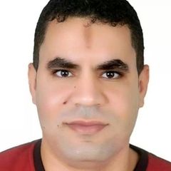 محمود عبد المنعم محمد بزان, FINANCIAL CONTROLLER
