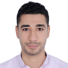 محمد أحمد خليل درويش, مدير مالى Financial Manager