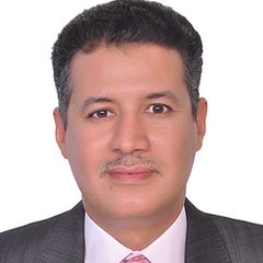 Mohamed Ali - PMP, Engineering Consultant