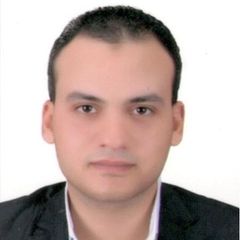 Ahmed Hamdy Hegazy, Technical Lead Engineer