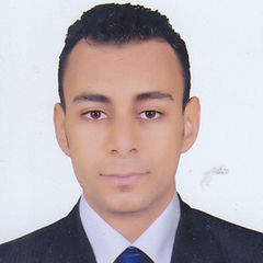 Zain elabedien Mohammed Ibrahim, Senior Sales Engineer