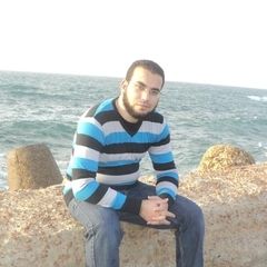 أحمد محمد النقيطى, Data analyst / BI Developer