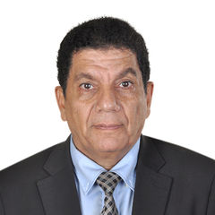 عاصم أحمد محمد عبد  النبي, أستاذ دكتور