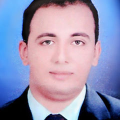 محمد عبد اللاه احمد محمد, محاسب تحت التمرين