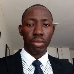 Solomon Oluwatosin John John, Technical Assistant