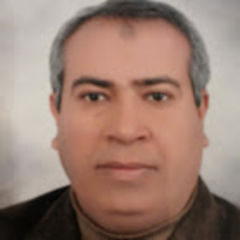 ياسر فاوي محمد الصغير, مدير المراجعة الداخلية