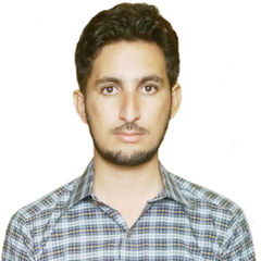 Muhammad Luqman Khan, Receptionist Online Data entry and Documentation