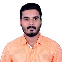 GEORGE VINU GEORGE