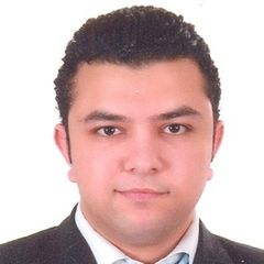 Ahmed Mustafa Hamed egamee, Senior/Team Leader Software Developer
