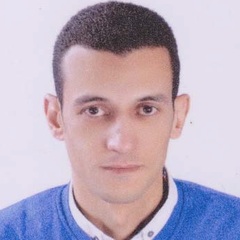 أحمد عبدالحميد يوسف, SAP Basis Consultant