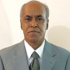 Syed Anwer Raza Naqvi, Civil Project Manager