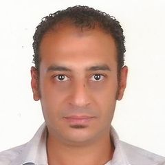Ahmad Badawy, Senior Sales Engineer 