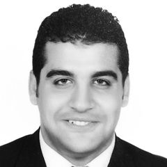 Mohamed Mahmoud Abdelaziz  Shama