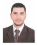 Amr Alhawary, Technical Lead