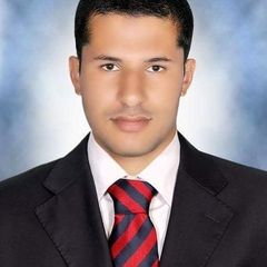 محمد صلاح, مهندس سلامه وصحه مهنيه