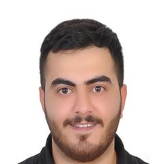 Ayman Fattal, Sales Engineer