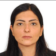 Sara Motalebi, Sales Analyst