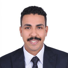 Bishoy Nabil, Digital Marketer