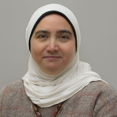 Mona Abouheif