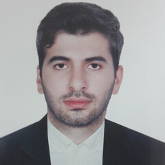 Babak Alizadeh, Software Developer