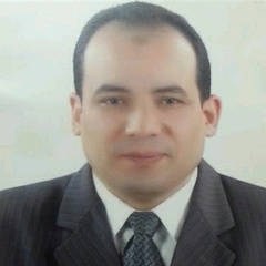 محمود  يوسف, أستاذ جامعي