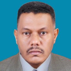 Hisham Ahmed Mohamed Abdalla Abdalla