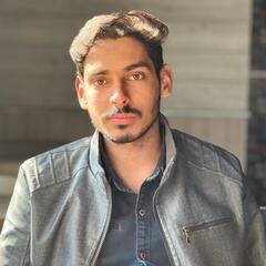 Faizan Ahmad, WordPress Developer
