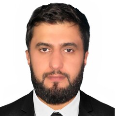 Ramin Khalili, Audit Supervior