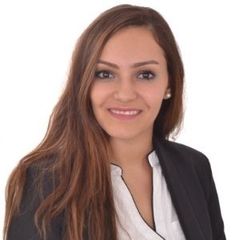 نادين الزين, Studio Coordinator/Office Manager