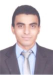 مصطفى أمين محمود, مهندس برمجيات