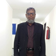 Muhammad Ibrahim, civil inspector