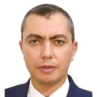 Mohammed Sabry, Supply Chain Consultant