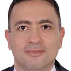 Mohamed Elewa Abd El Rahman, Executive Auditor