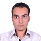 Mohamed Hesham, Accountant