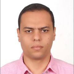 حازم عبد الباسط هنداوي علي الدين, electrical manager