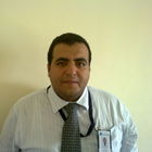Fareed Mesallam, MEP Project Manager