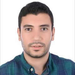 Hesham Magdi, System Engineer