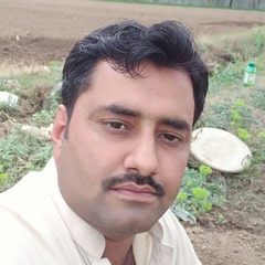 Habib Khan